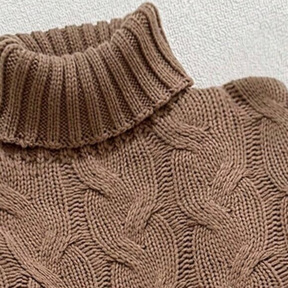 Brown Casual Women's Comfortable Twisted Rope Pattern Textured High neck sweater - Picture 5 of 5